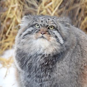 Meet your Posher, Marcus